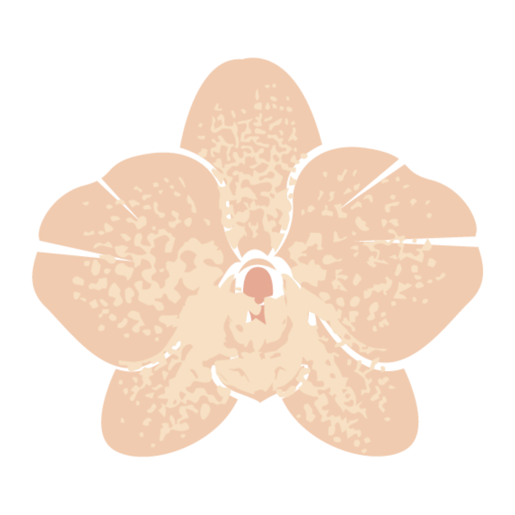 petals and poetry